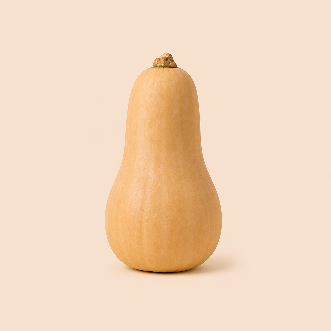 Butternut-Kürbis zum Vergleich