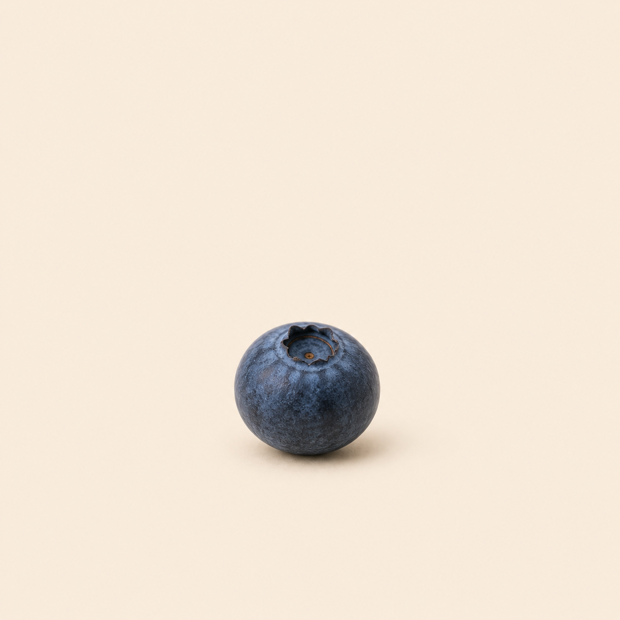 Blaubeere zum Vergleich