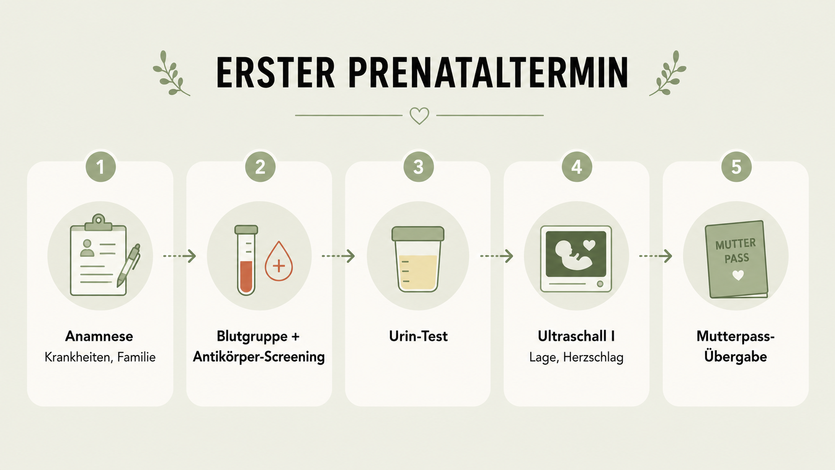 Erste Vorsorgeuntersuchung: Ablauf und Mutterpass Infografik