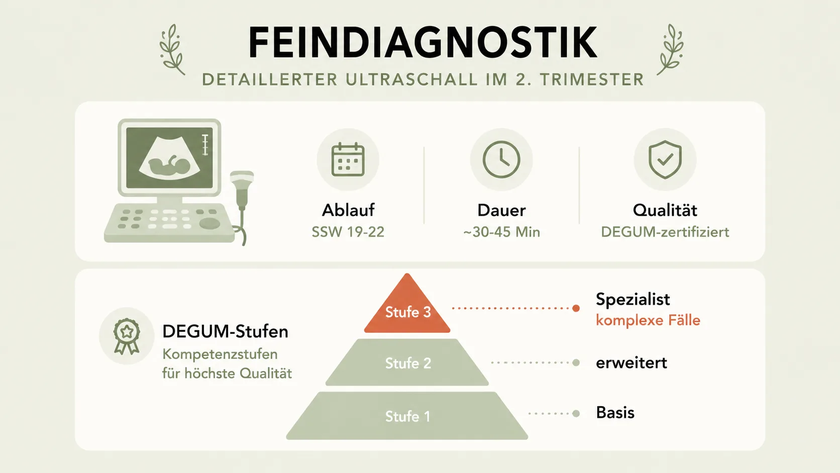 Feindiagnostik Infografik