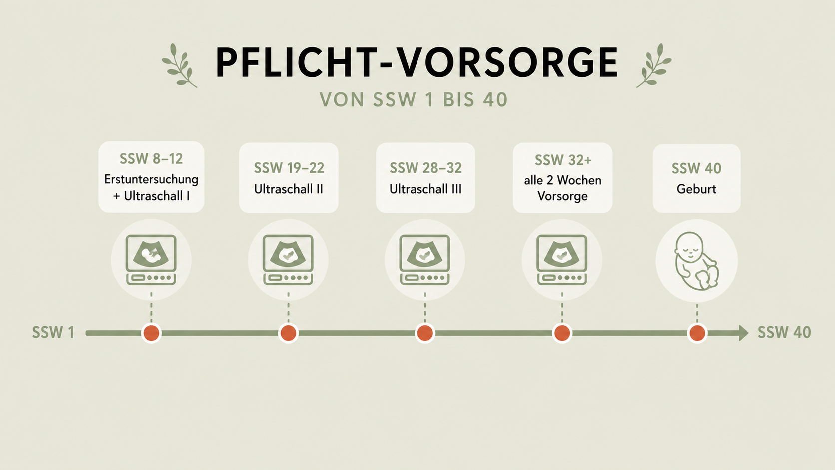 Mutterschafts-Richtlinien Infografik
