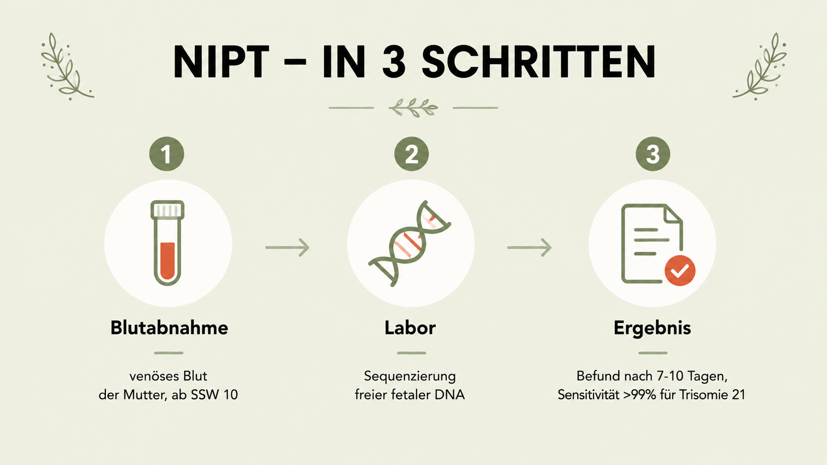 NIPT (nicht-invasiver Pränataltest) Infografik