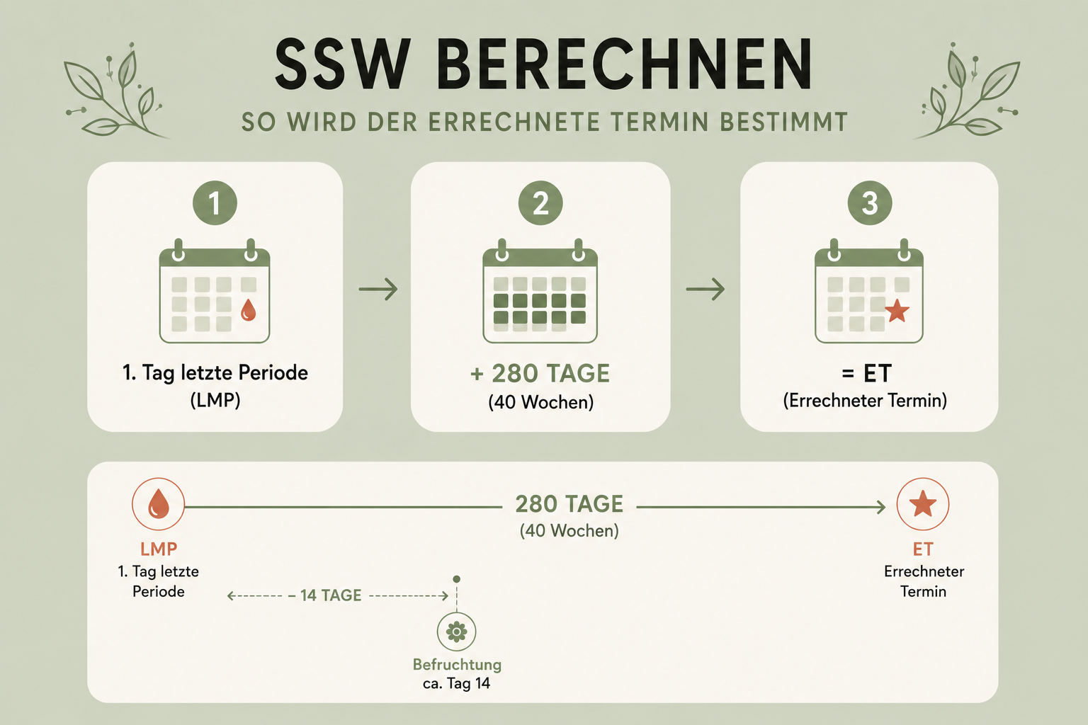 SSW-Rechner Infografik