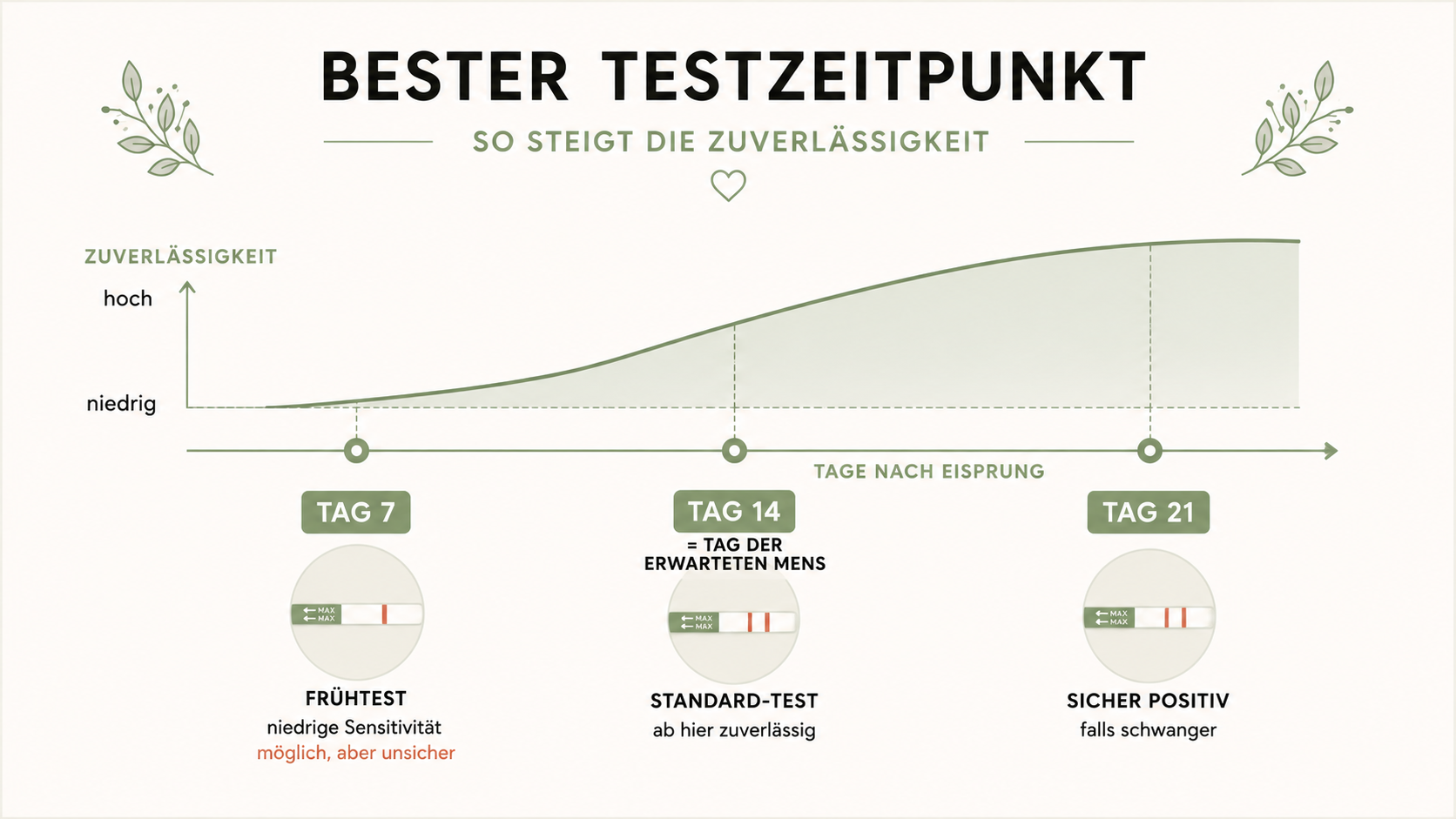 Schwangerschaftstest: wann, wie, welcher Infografik
